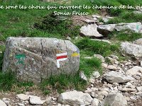 20200719  Sentier de randonnées -  Aveyron