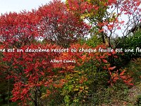 20201007  Couleurs d'automne - Aveyron