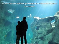 20201024  Aquarium de La Rochelle