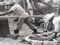 61
