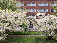 11-Maison du Canada e