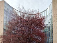 17-Maison d'Egypte  c  Ouverte en 2023, la Maison d’Egypte a accueilli ses premiers résidents à la rentrée 2024.