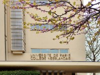 36-Collège néerlandais c