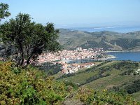 54-Zoom sur Banyuls