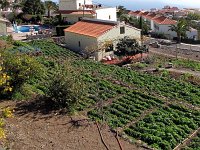 105  Potagers