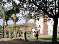 137  Torre del Conde