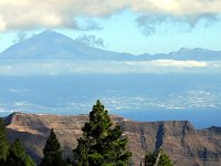 38  Tenerife en face