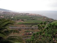 89  La plaine de La Orotava