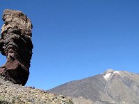 93  Roque Cinchado