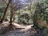 38  Le Gargano - Sentiero Natura Mergoli-Vignanotica