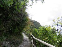 Sentier bien aménagé