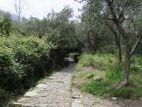 Amorce de la descente
