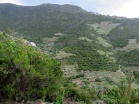 Les mille marches à gravir