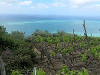 Puis à travers les vignes