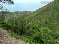 Descente