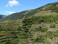 Etendue du travail agricole