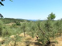26 Le paysage  Face à la piscine