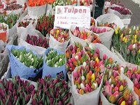 10  Naschmarkt