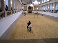13  Le-manege-espagnol